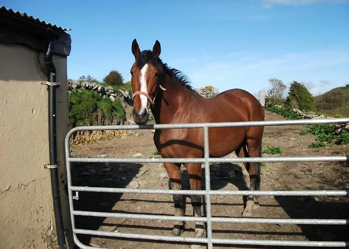 Riverdale Frühstückspension Doolin